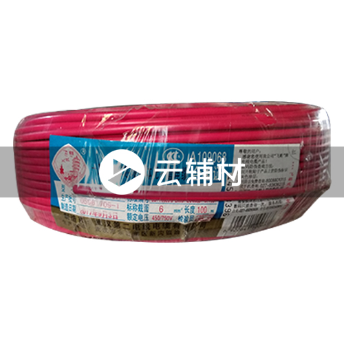 武汉二厂ZCBV6.0^阻燃电线 红色 100米（整卷出不剪）