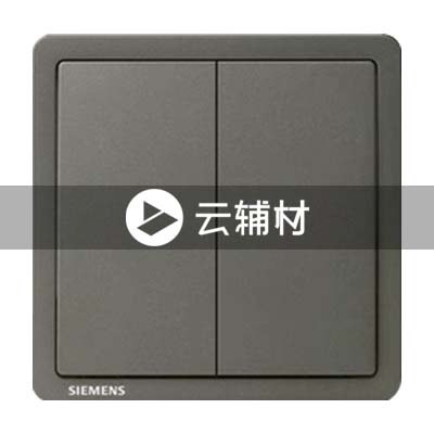 西门子致琦月银灰10AX 二位单控开关